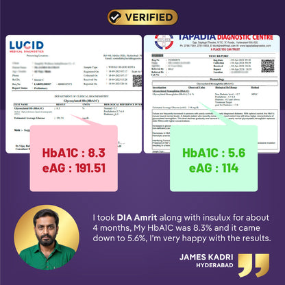 DiaAmrit Effervescent: Karela Jamun Juice for Diabetes Control